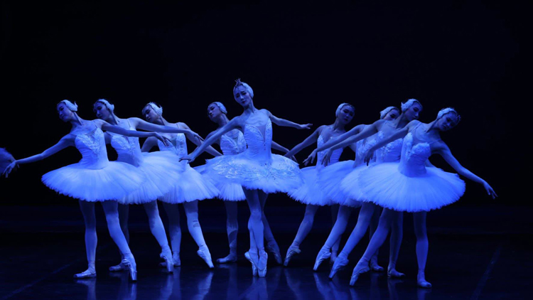 絕美《天鵝湖》飛臨維港 2024「國風(fēng)國韻飄香江」系列文化活動隆重啟幕