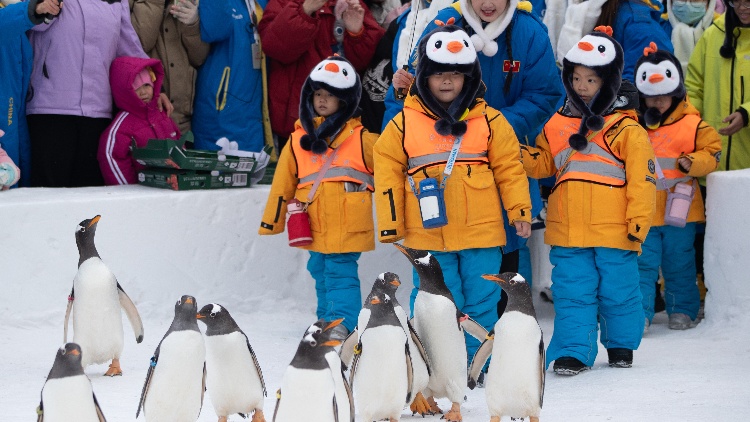 內(nèi)地文旅瘋卷「潑天富貴」