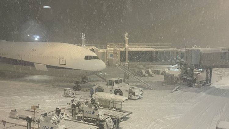 突發(fā)！國(guó)泰航空與大韓航空飛機(jī)日本新千歲機(jī)場(chǎng)相撞 暫無人受傷