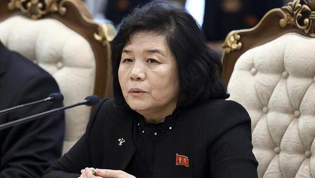 俄羅斯外長拉夫羅夫與朝鮮外務(wù)相崔善姬舉行會(huì)談