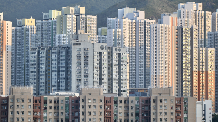 羅淑佩：本年度有望收回逾2200個(gè)濫用公屋單位 創(chuàng)近年新高