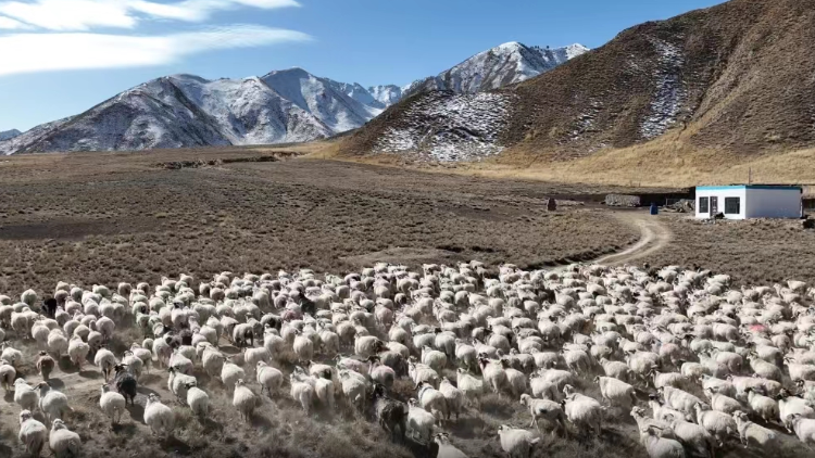 金融「活水」?jié)櫢咴?郵儲(chǔ)銀行助力鄉(xiāng)村振興調(diào)研紀(jì)實(shí)