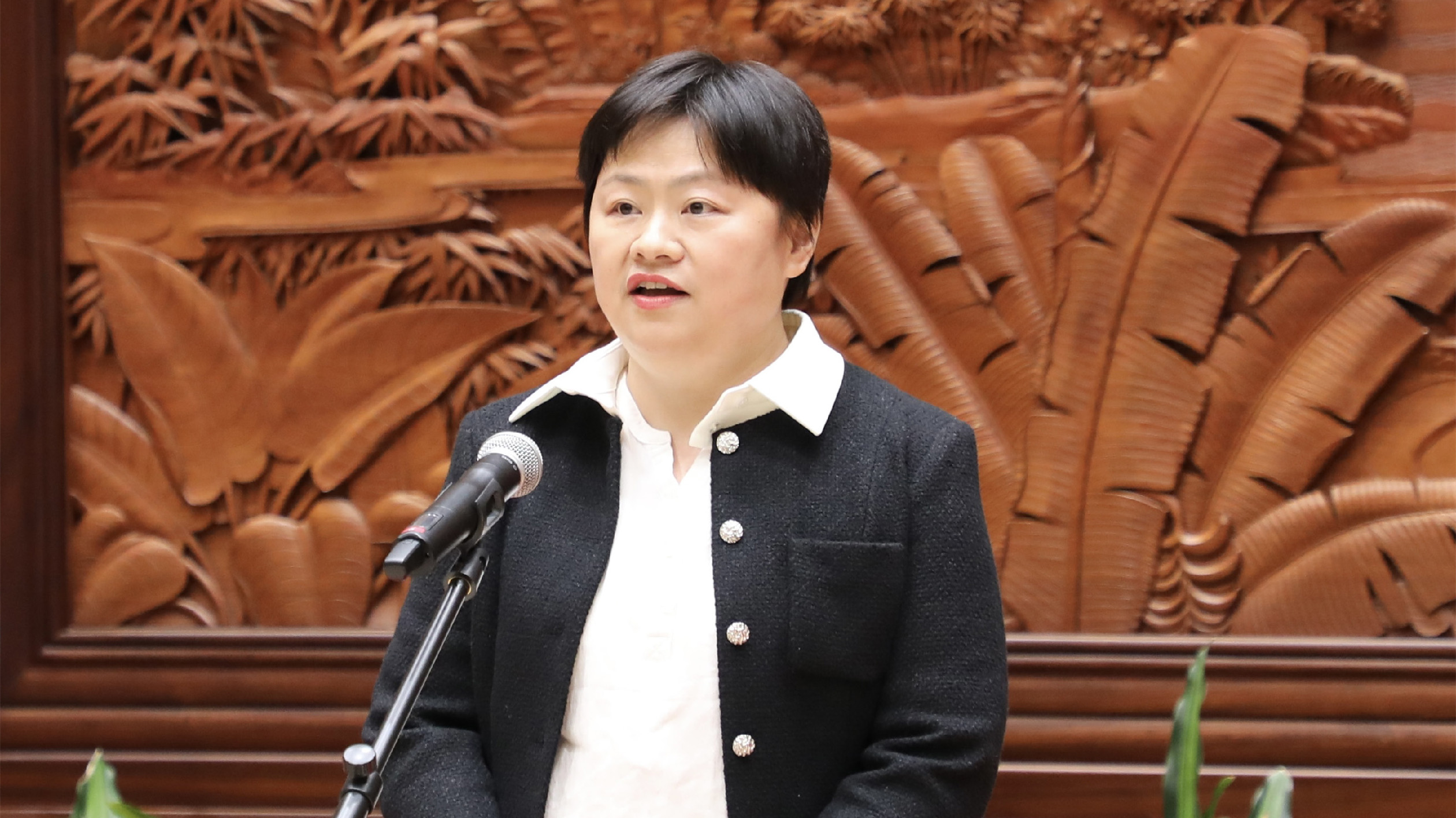 【廣西兩會(huì)】梁楓：橫州市「三城」疊加打造西部濱海新城