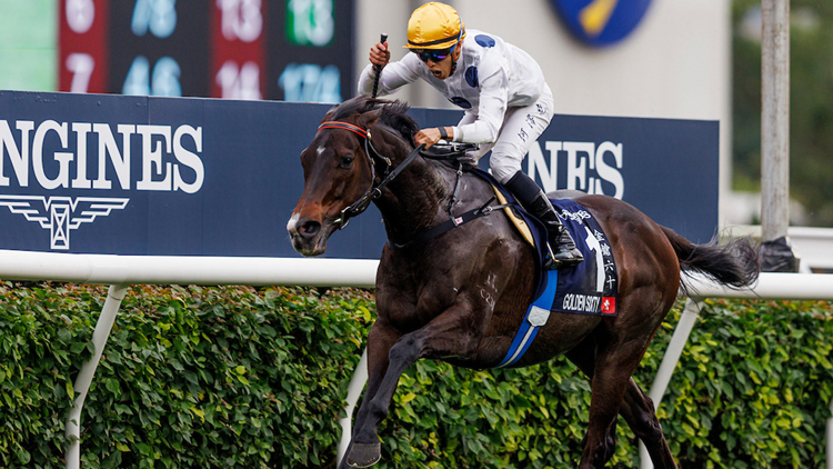 2023世界最佳馬匹年終排名 香港4匹星級(jí)賽駒躋身前15位