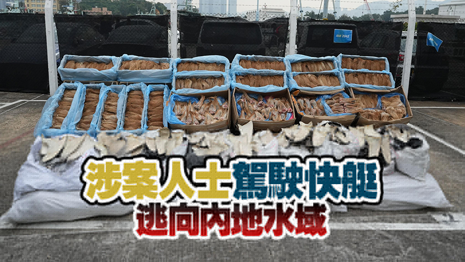 海關(guān)東涌偵破快艇走私案 檢值400萬急凍鹿尾等走私貨物