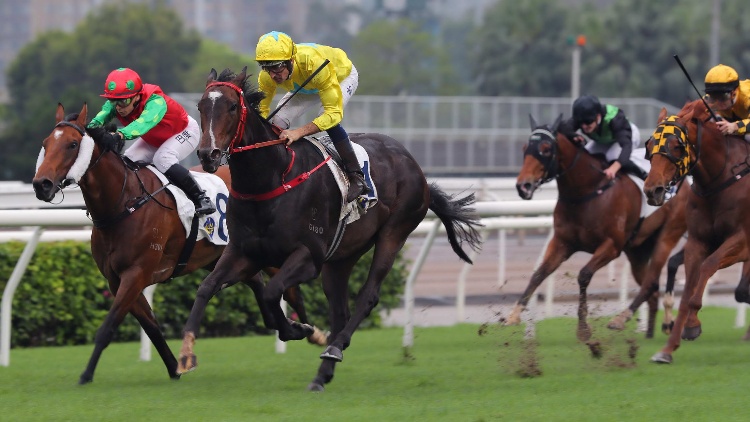 有片｜重振雄風(fēng)擊敗賢者無敵 金鑽貴人勇奪短途錦標