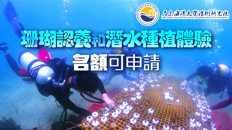 定好鬧鈴！5月14日12點(diǎn)317株珊瑚認(rèn)養(yǎng)和30個(gè)免費(fèi)潛水種植體驗(yàn)名額等你來(lái)?yè)專? title=