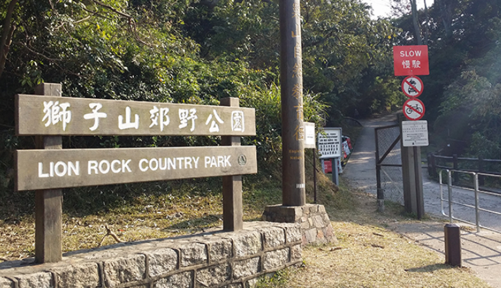 62歲男子行獅子山失蹤 被發(fā)現(xiàn)倒臥樹林不治