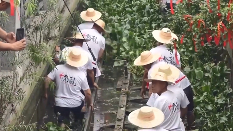 全國現(xiàn)存最古老龍舟！592歲鹽步老龍「重出江湖」