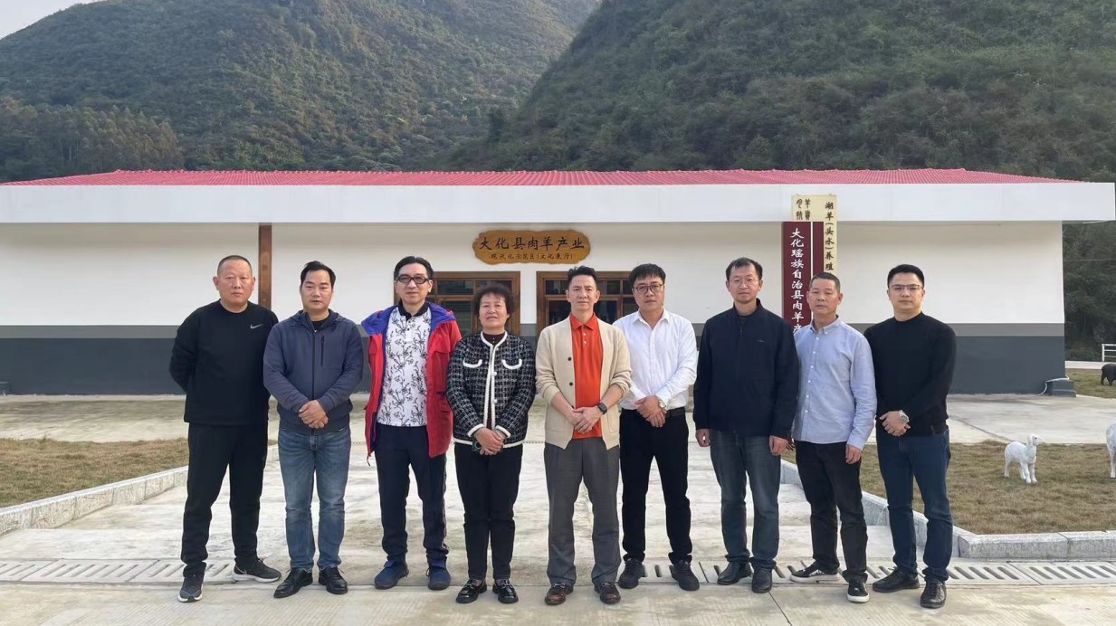 【在桂港商有話說】賴文?。簩⒁詮V西為合作平臺開拓國際市場