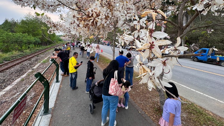 【海峽觀察】開放兩岸雙向旅遊 臺(tái)勿逆流而動(dòng)