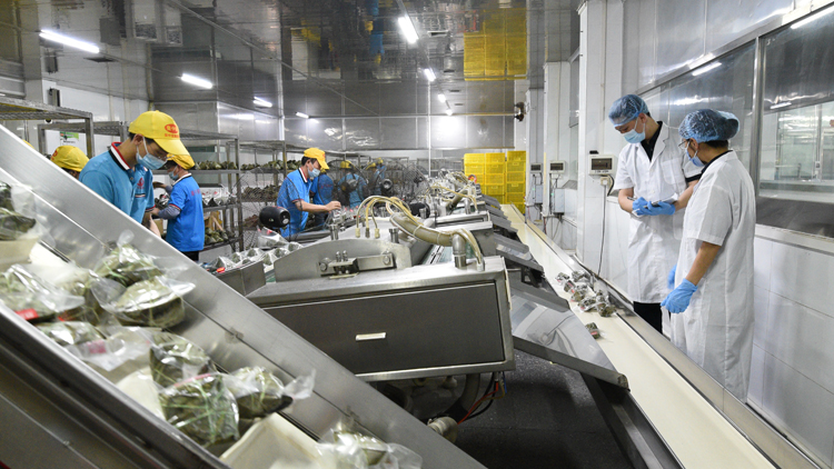 端午臨近糉飄香 廣州海關(guān)助力粵式糉子?！铬r」出口