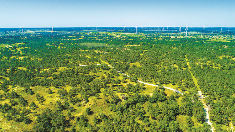 防沙治沙 中國新設(shè)「三北」工程補(bǔ)助資金