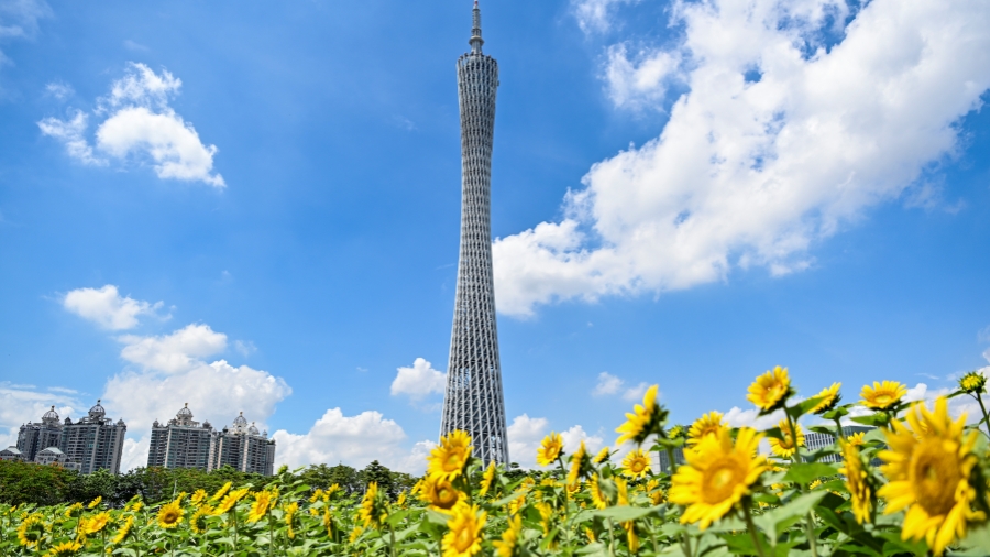 獲獎(jiǎng)數(shù)大幅上漲 廣州26項(xiàng)科技成果榮獲2023年國(guó)家科學(xué)技術(shù)獎(jiǎng)