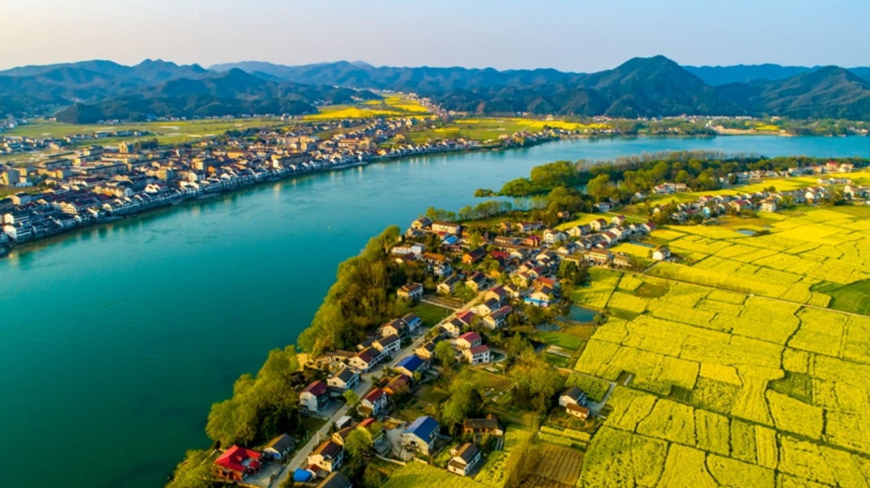 開放湖南 縣域風(fēng)采 | 桃江：「最美竹鄉(xiāng)」激活「美麗經(jīng)濟」