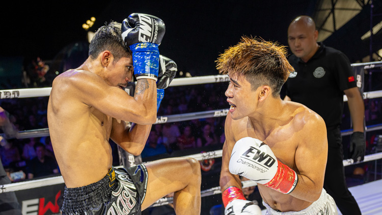 EWD2024東方戰(zhàn)龍世界拳王爭霸賽榮耀賽深圳開戰(zhàn)！