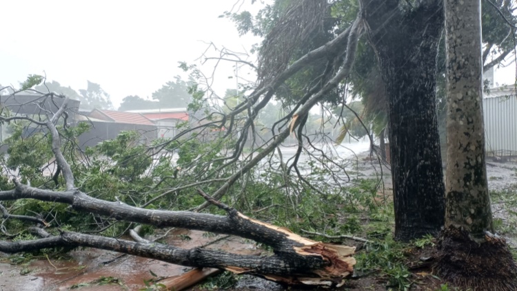 颱風(fēng)「摩羯」預(yù)計二次登陸廣東