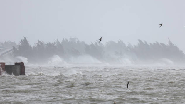 願(yuàn)平安！颱風(fēng)「摩羯」已致3死95傷