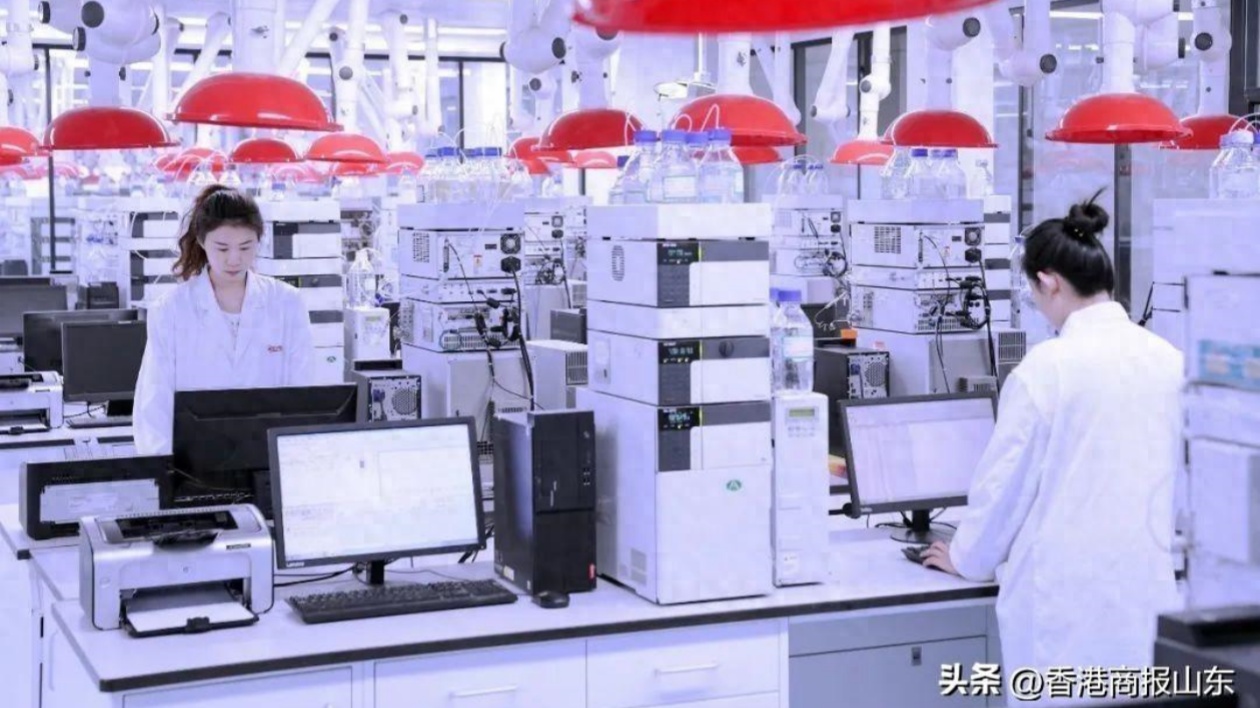 華魯集團的新躍遷：人均創(chuàng)利25萬元八年增長近三倍