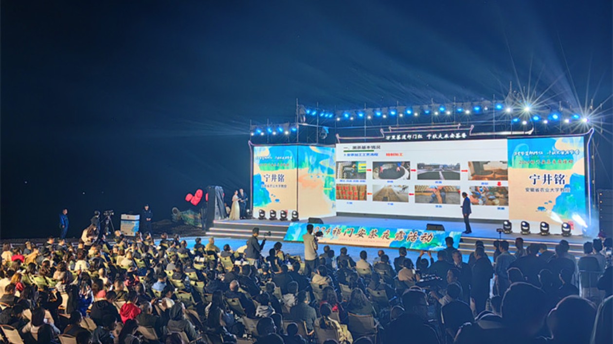 「聖茶」聲名鵲起  皖祁門縣勠力續(xù)寫安茶復興新「祁」跡