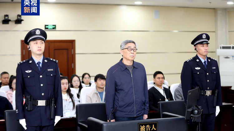 獲刑十二年！國家開發(fā)銀行原副行長王用生受賄案一審宣判