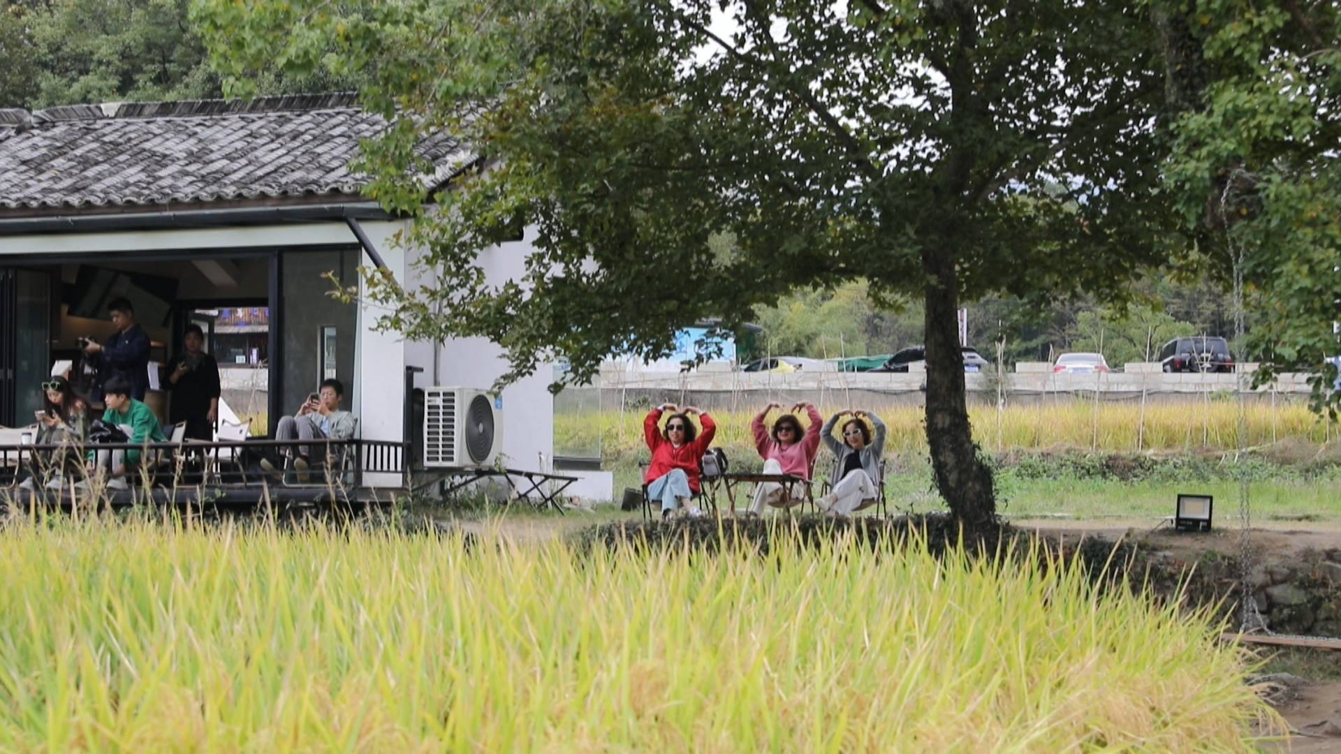 稻田美景引遊人 皖黟縣賞秋熱潮湧動(dòng)