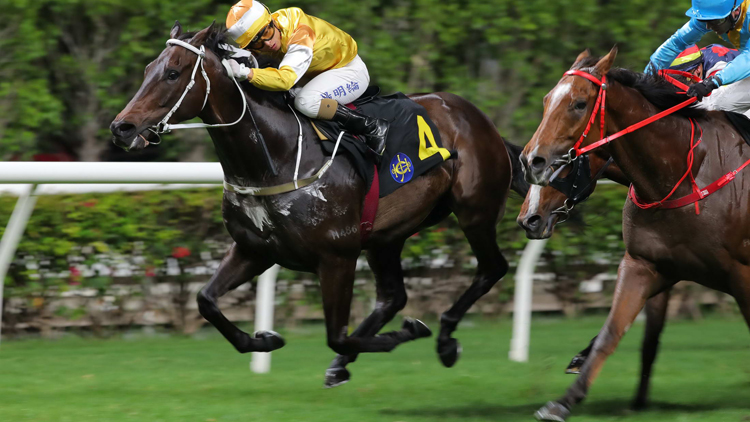 桃芝襲港 | 天文臺將掛8號風球 今晚跑馬賽罷第六場提早結(jié)束