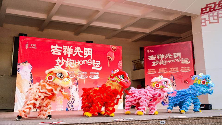 妙妙的新年，深圳光明舉辦元旦廟會(huì)