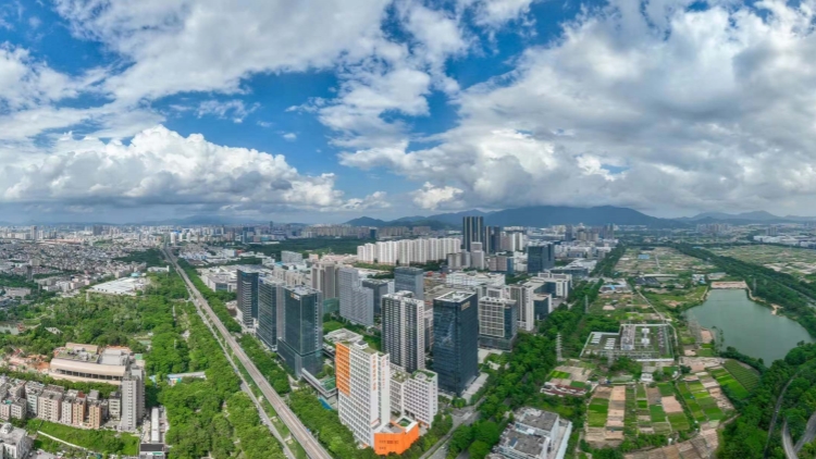 進口、出口均為歷史新高 2024年深圳重返內地外貿城市首位 