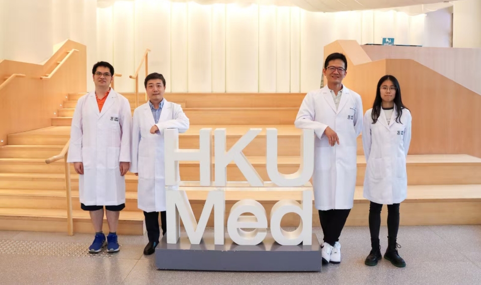 港大醫(yī)學(xué)院揭細(xì)胞微管新機(jī)制 助提升抗癌化療藥效