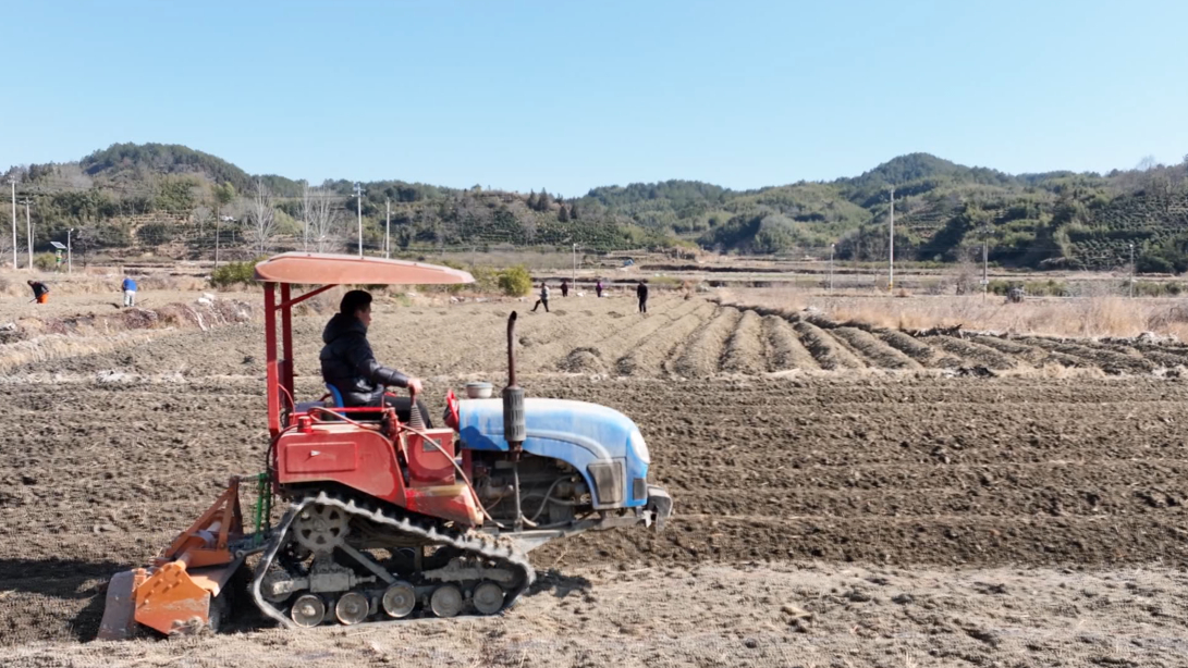 皖歙縣：農(nóng)機提效率 專家來助力