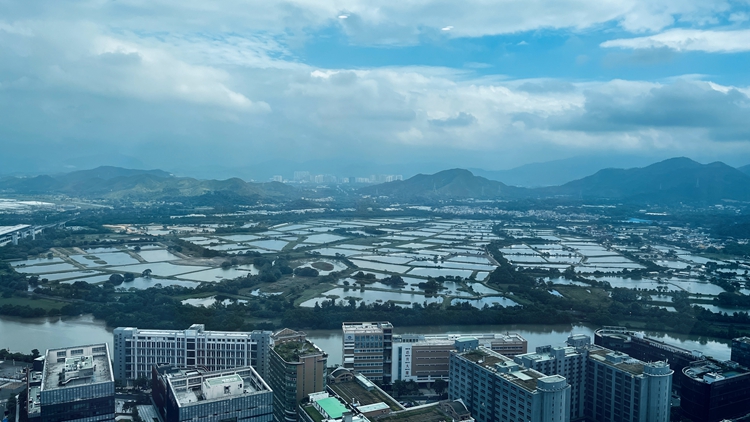 【來論】港澳在大灣區(qū)建設(shè)的光榮責任