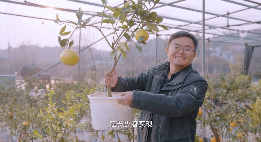 《在長沙 都實現(xiàn)》第十一集：長沙這片土壤，能種出什麼樣的果子？