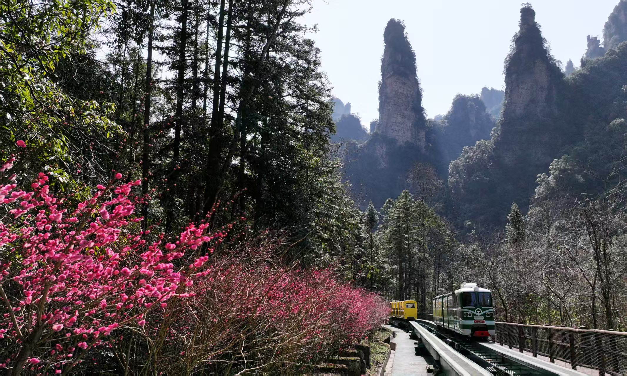 跟著哪吒遊張家界國家森林公園「阿凡達」仙境有「福利」