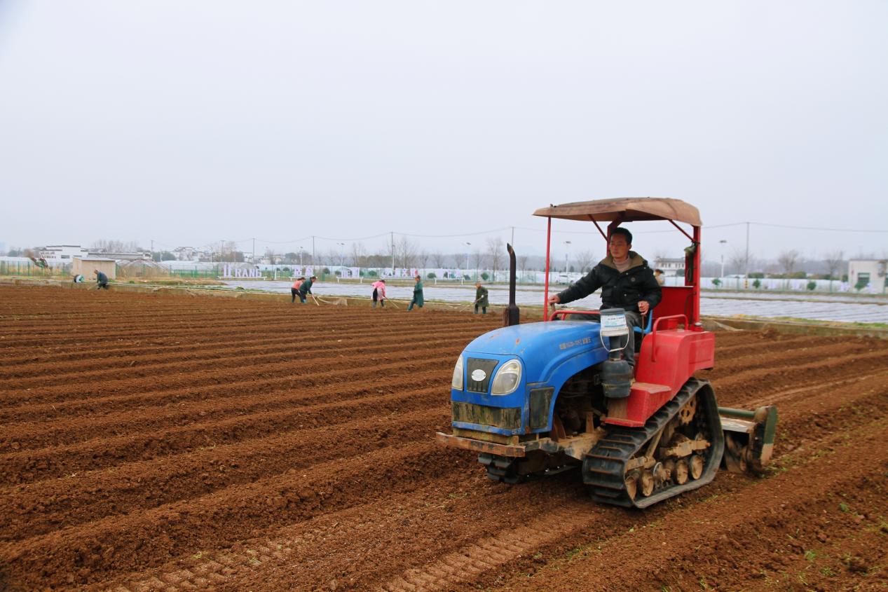 皖徽州區(qū)：下好春耕「先手棋」 打好種糧「主動(dòng)仗」