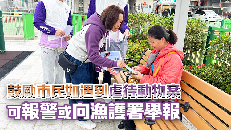 上水河上鄉(xiāng)發(fā)生虐殺花貓案 動物義工派傳單 籲向殘酷對待動物說不