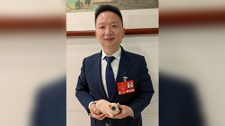全國人大代表、重慶琪金食品集團董事長林其鑫：讓更多老百姓吃上優(yōu)質(zhì)「榮昌豬肉」