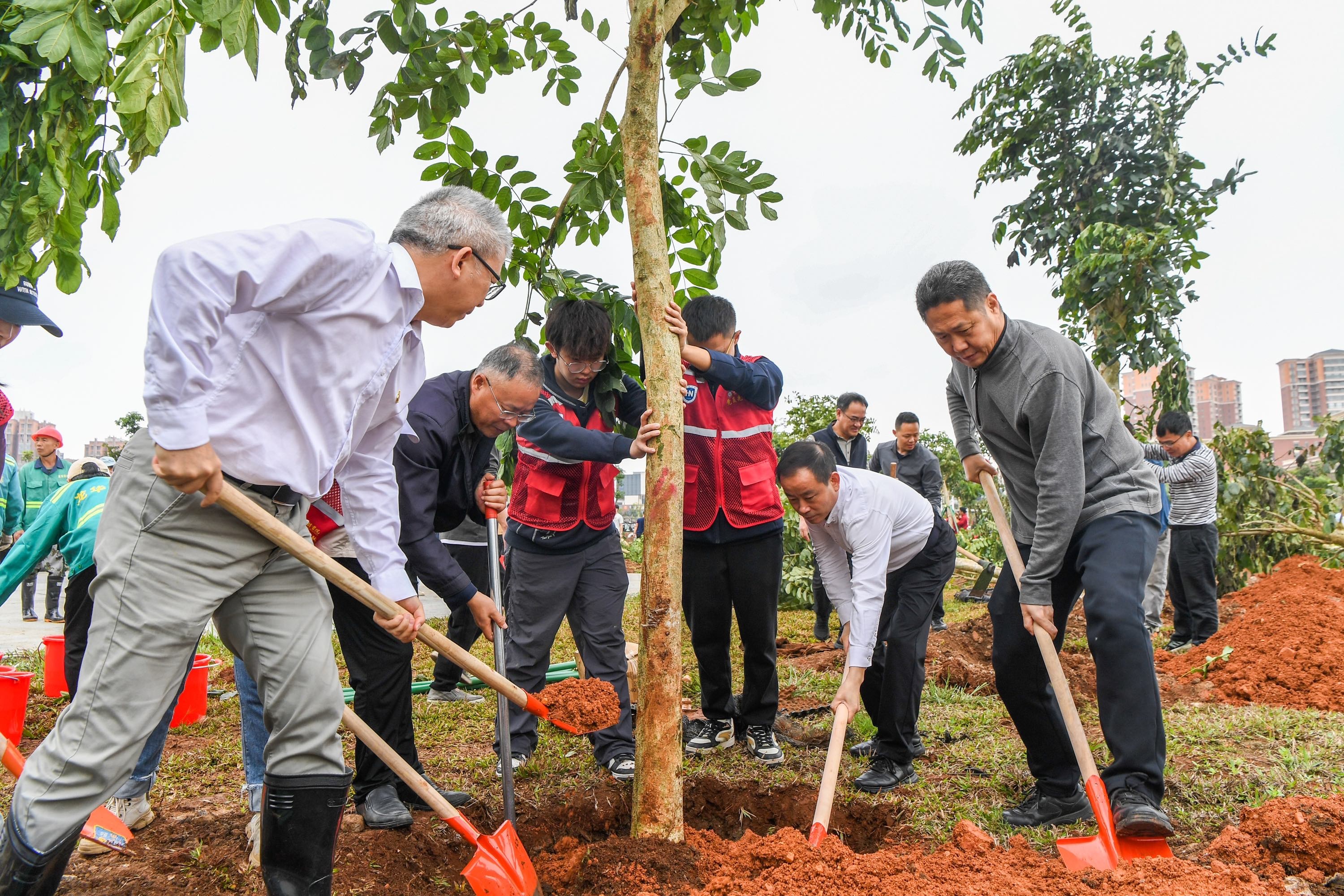 ?？谑旋埲A區(qū)組織開展2025年義務(wù)植樹活動(dòng)