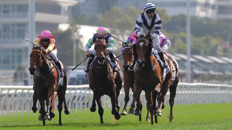 2025香港打吡大賽｜球星祝願(yuàn)爭(zhēng)盃主角 呂健威蔡約翰同派三路興兵