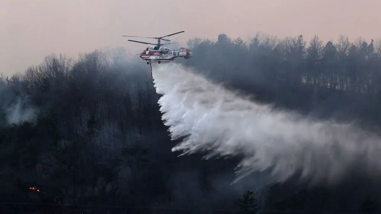 韓國東南部爆發(fā)山火 多地進(jìn)入「災(zāi)難狀態(tài)」