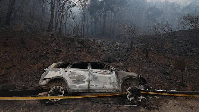 韓國(guó)慶尚道山火已致26人死亡 3.6萬(wàn)公頃山林被燒毀