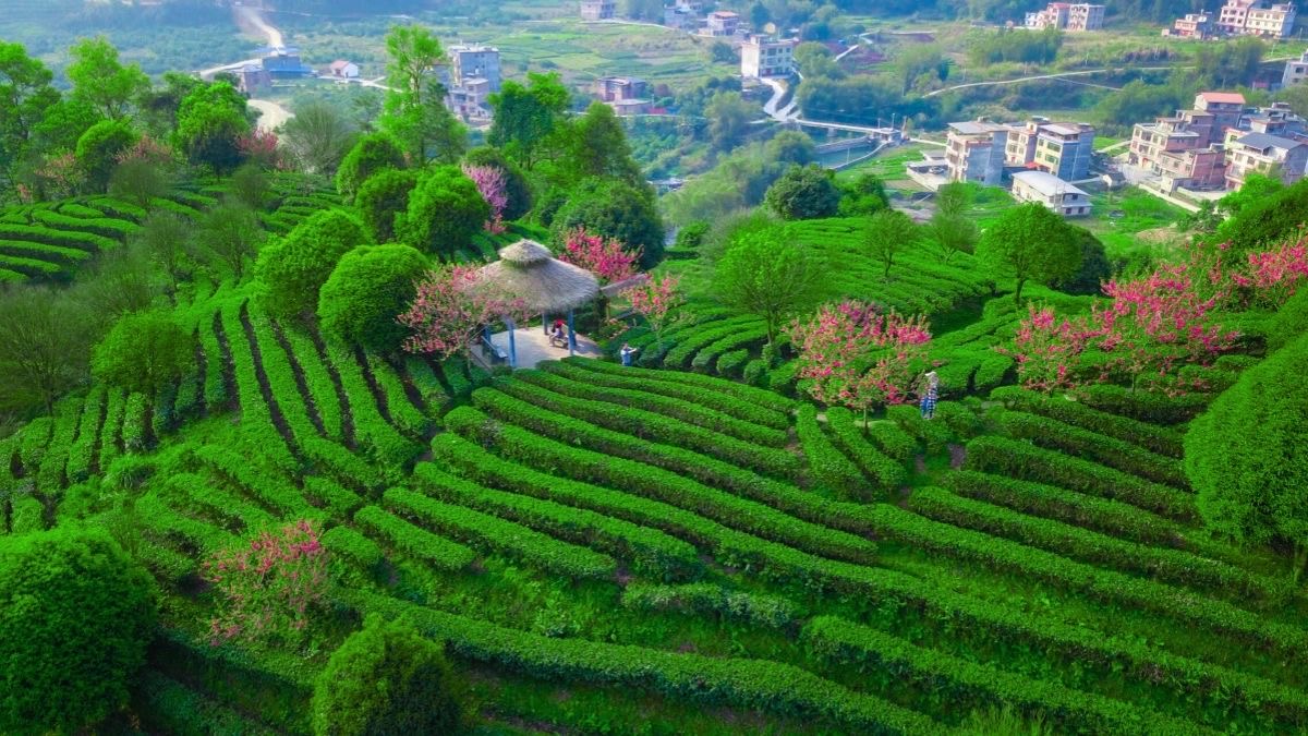 桂賀州市推出「廣西三月三」精品旅遊線路迎八方來客