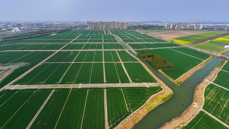 中辦國辦印發(fā)《逐步把永久基本農(nóng)田建成高標(biāo)準(zhǔn)農(nóng)田實施方案》 到2030年力爭建成13.5億畝高標(biāo)準(zhǔn)農(nóng)田
