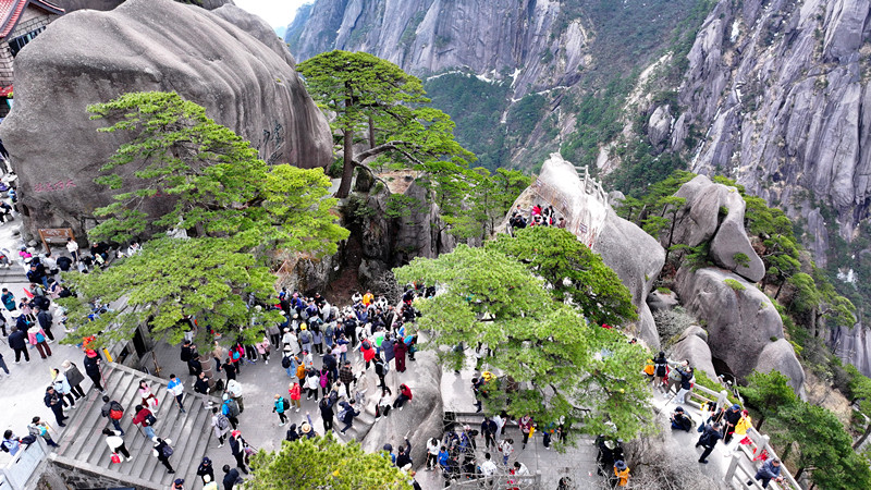 清明假期首日：3萬客和黃山共向上