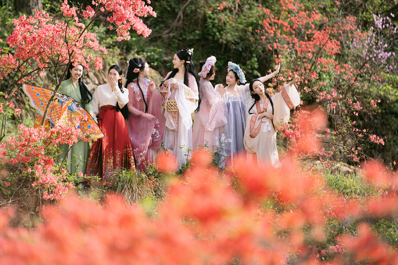茶海翻湧山花競艷 「雲(yún)上岳西」繽紛如畫