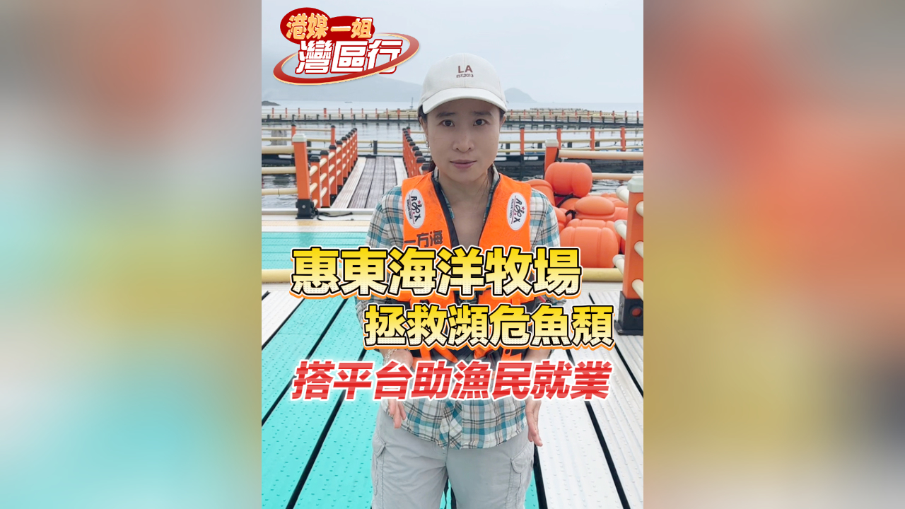有片丨【港媒一姐灣區(qū)行】惠東海洋牧場拯救瀕危魚頽 搭平臺(tái)助漁民就業(yè)