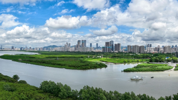 入境遊爆火，深圳憑什麼爭第一？