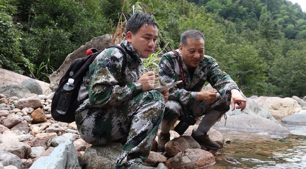 王山青：守護(hù)青山心不改 載譽(yù)歸來(lái)續(xù)征程