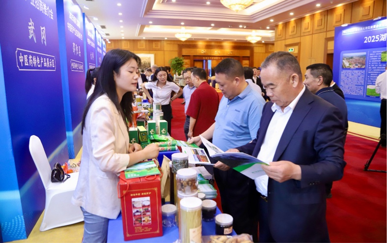 藥王文化「聯姻」灣區(qū)資本  湖南邵陽中醫(yī)藥產業(yè)搶灘粵港澳