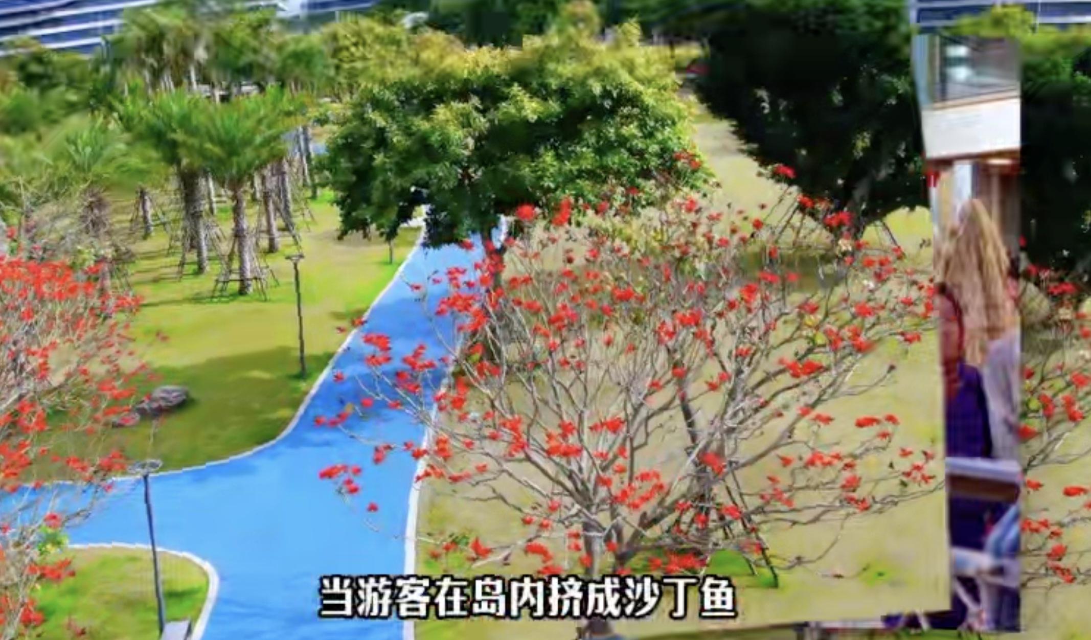 首屆廈門海滄區(qū)公園生活季短視頻大賽獲獎作品展播｜三等獎《廈門慢生活》